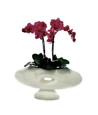 Orchid arrangement real for sale  Broken Arrow