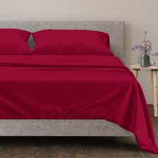 100 egyptian cotton for sale  Springfield