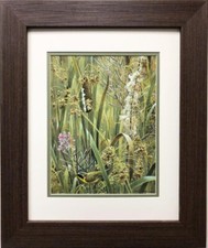 Robert bateman cattails for sale  Deer Park
