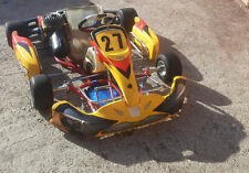 Kart pcr 100cc usato  Ogliastro Cilento