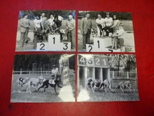 Lot greyhound racing d'occasion  Expédié en Belgium