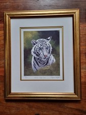 White tiger cub for sale  LEEDS