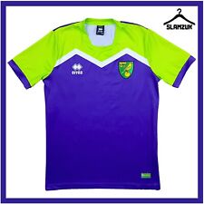 Norwich city football for sale  DUNBAR
