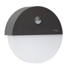 Ware ktaplex paz gebraucht kaufen Ware ktaplex paz gebraucht kaufen  Düsseldorf