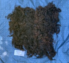 Rohwolle vlies drenthe gebraucht kaufen  Werther