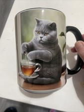 british shorthair cat for sale british shorthair cat for sale HARLOW