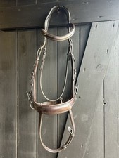 Schockemohle equitus alpha for sale  HEATHFIELD