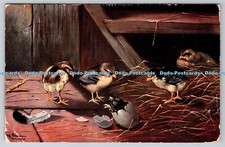 R769651 chickens farm for sale  WARLINGHAM
