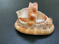 Vintage carved conch for sale  Missouri Valley