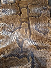 Ensemble peau serpent d'occasion  Clermont-Ferrand-