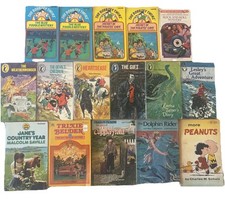 Vintage childrens paperback for sale  BUNTINGFORD