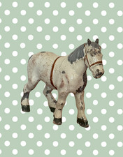 Rare white shire for sale Rare white shire for sale  CRANLEIGH