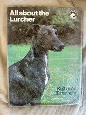 Lurcher for sale  HUDDERSFIELD
