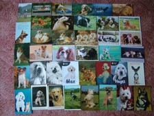 Unused postcards dogs. for sale  SPALDING