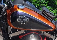 Twin cam dyna gebraucht kaufen  Wallerfangen
