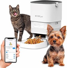 Sybilpet distributore automati usato  Falerone