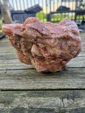 50lb huge rose for sale  Marlette