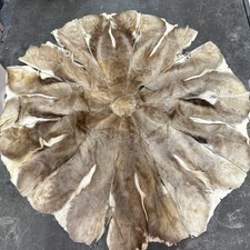red deer hide for sale red deer hide for sale Marathon