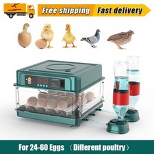 Eggs double electric for sale  LEICESTER