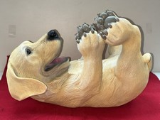 Golden yellow lab for sale  Altamont