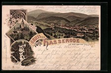 Lithographie hasserode wernige gebraucht kaufen  Berlin