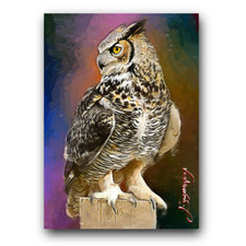 owl art for sale owl art for sale Pasco