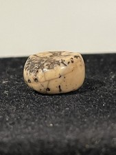 Antique tibetan coral for sale  Portland