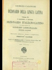 Dizionario della lingua usato  Italia