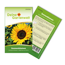 Sonnenblumen einfache riesen gebraucht kaufen  Pulheim