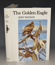Jeff watson golden for sale  DORCHESTER