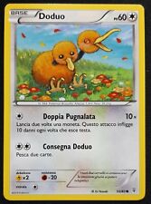 Doduo comune italiano usato Doduo comune italiano usato  Venezia