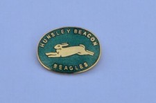 Hunsley beacon beagles for sale  OXFORD