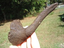 Deer antler skull for sale  Tallahassee