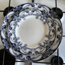 Royal staffordshire pottery for sale  EDINBURGH