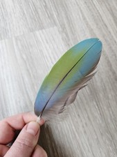 Grün blau türkis gebraucht kaufen  Haarbach