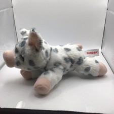 Aurora spotted pig for sale  Dayton