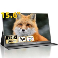 Tragbare monitore zoll gebraucht kaufen  Wuppertal