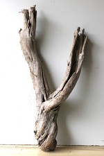 Treibholz schwemmholz driftwoo gebraucht kaufen  Halblech