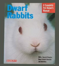 Dwarf rabbits complete for sale  NEWARK