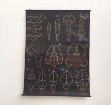 Affiche scolaire ancienne d'occasion  Pantin