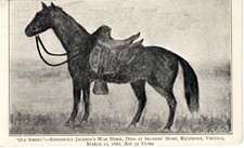 ~1910's RICHMOND VA - "Old Sorrel" Stonewall Jackson's War Horse morreu 1886 comprar usado  Enviando para Brazil