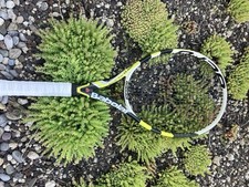 Tennisschläger babolat aero gebraucht kaufen  Nieder-Olm