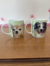 Mug chien d'occasion  La Haye-du-Puits