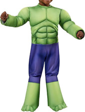 Hulk kostüm rubie gebraucht kaufen  Hütschenhausen