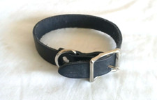 Dog puppy collar for sale  Saint Louis