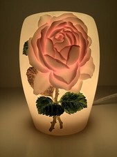 Ibis orchid design for sale  Streamwood