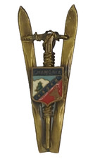 Insigne montagne ski d'occasion  Saint-Denis-d'Anjou