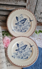 Anciennes assiettes plates d'occasion  Le Poinçonnet