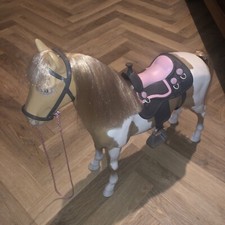 Generation palamino horse for sale  SOLIHULL