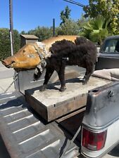 Old life sized for sale  Rocklin